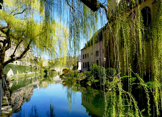 Am Wasser in Luxembourg Auf Klassenfahrt mit HEROLÉ: Grund mit herrlichen grünen Bäumen am Wasser in Luxembourg
