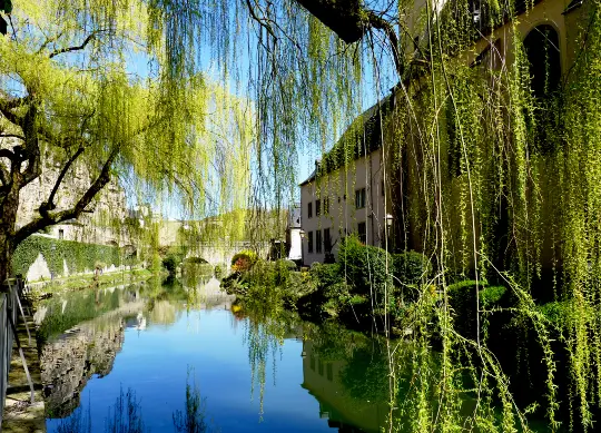 Auf Klassenfahrt mit HEROL&Eacute;: Grund mit herrlichen gr&uuml;nen B&auml;umen am Wasser in Luxembourg