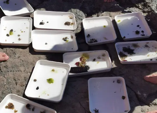 Auf Klassenfahrt mit HEROLÉ: Funde begutachten