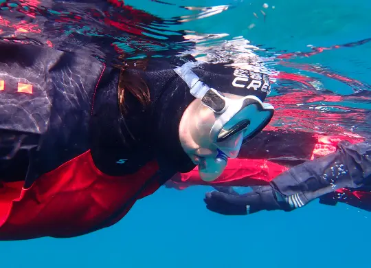 Auf Klassenfahrt mit HEROLÉ: Schnorcheln im erfrischenden Wintermeer