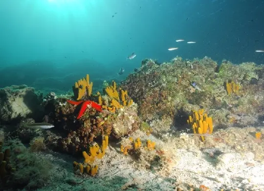 Auf Klassenfahrt mit HEROLÉ: Klare Sicht im Wintermeer
