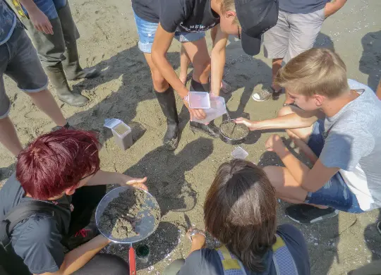 Auf Klassenfahrt mit HEROLÉ: Jugendliche beim Biologieprojekt Meer in der Toskana