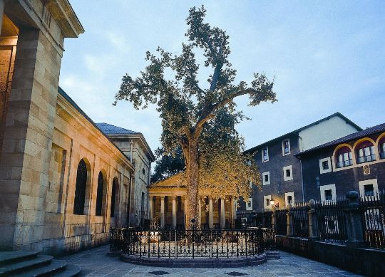 Klassenfahrt - Baskenland (Gernika) Haus Casa de Juntas del Señorío de Vizcaya mit symbolischen Olivenbaum - Klassenfahrt-Baskenland