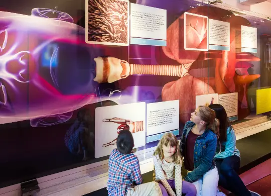 Auf Klassenfahrt mit HEROLÉ: Sinatra Erlebnis Naturschau Museum in Dornbirn am Bodensee.