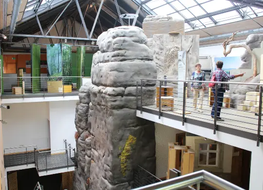 Auf Klassenfahrt mit HEROLÉ: Besuchen Sie das informative Nationalparkmuseum in der Sächsischen Schweiz