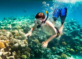 Auf Klassenfahrt mit HEROL&Eacute;: Taucher in Istrien.