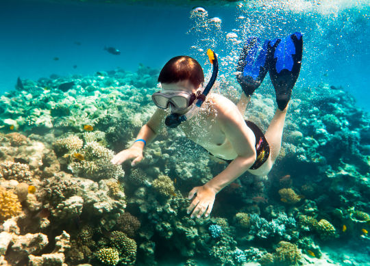 Taucher in Istrien Auf Klassenfahrt mit HEROLÉ: Taucher in Istrien.