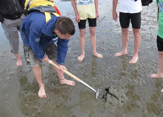 Wattwanderung an der Nordsee Auf Klassenfahrt mit HEROLÉ: Wattwanderung an der Nordsee.