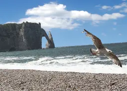 Auf Klassenfahrt mit HEROLÉ: Klippen in der Normandie.