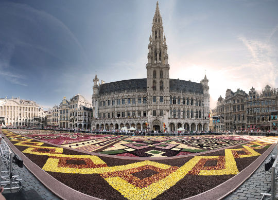 Grand Place mit Blumenteppich in Brüssel Auf Klassenfahrt mit HEROLÉ: Grand Place mit Blumenteppich in Brüssel.