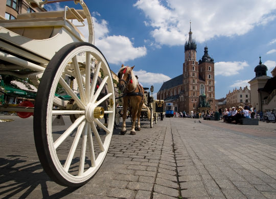 Klassenfahrten Krakau - Pferdekutsche Klassenfahrten Krakau - Pferdekutsche auf dem Marktplatz Rynek Glowny