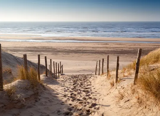 Auf Klassenfahrt mit HEROLÉ: Weg zum Strand an der niederländischen Nordseeküste.