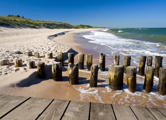 Auf Klassenfahrt mit HEROLÉ: Zwischen Meer und Dünen an der niederländischen Nordseeküste.