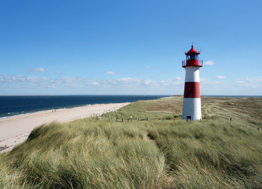 Klassenfahrten Nordsee - Leuchtturm Klassenfahrten Nordsee - Blick über die Dünen zum Meer und Leuchtturm