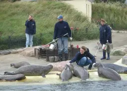 Auf Klassenfahrt mit HEROLÉ: Seehund Station an der Nordsee.