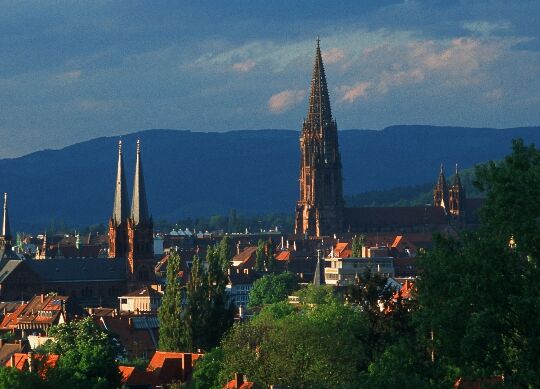Freiburg im Schwarzwald Auf Klassenfahrt mit HEROLÉ: Blick vom Lorettoberg auf die Innenstadt von Freiburg im Schwarzwald