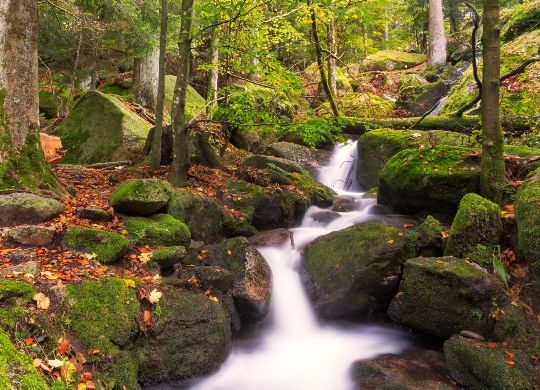Klassenfahrten Schwarzwald - Gertelsbacher Wasserfall Klassenfahrten Schwarzwald - Blick auf den Gertelsbacher Wasserfall im Herbst