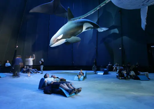 Schüler im Ozeaneum in Stralsund  Auf Klassenfahrt mit HEROLÉ: Schüler im Ozeaneum in Stralsund.