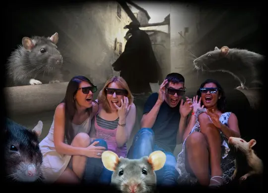 Auf Klassenfahrt mit HEROLÉ: Time Travel in Wien.