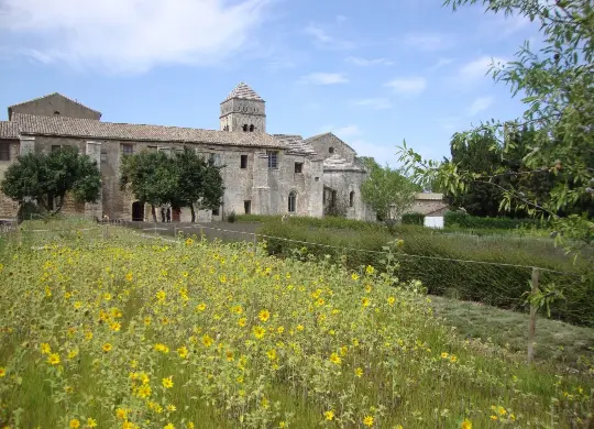 Auf Klassenfahrt mit HEROLÉ: Kloster Saint-Paul-de-Mausole in der Provence