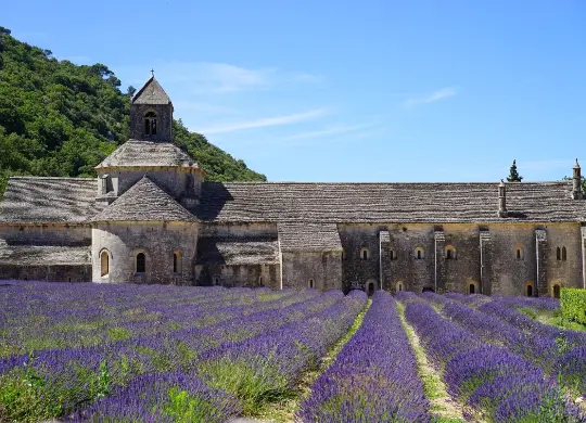 Auf Klassenfahrt mit HEROLÉ: Kloster Sénanque in der Provence