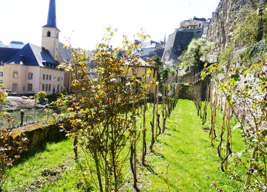 Klouschtergaart in Luxembourg Auf Klassenfahrt mit HEROLÉ: Klouschtergaart in Luxembourg