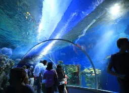 Auf Klassenfahrt mit HEROLÉ: Aquarium The Blue Planet in Kopenhagen.