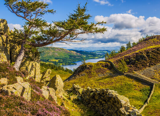 Lake District in Liverpool  Auf Klassenfahrt mit HEROLÉ: Lake District in Liverpool.