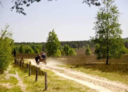 Klassenfahrten in der Lüneburger Heide  Auf Klassenfahrt mit HEROLÉ: Klassenfahrten in der Lüneburger Heide.