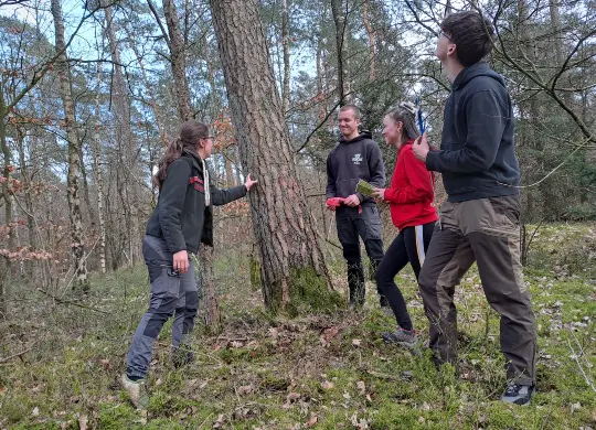 Auf Klassenfahrt mit HEROLÉ: BNE- Programm zum Thema Waldökologie in der Lüneburger Heide