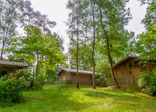 Auf Klassenfahrt mit HEROLÉ: Camp Adventure Walsrode (Adventure Lodges) in der Lüneburger Heide.
