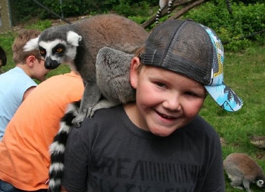 Lüneburger Heide - Sergenti Park Klassenfahrt - Lüneburger Heide - Anfassen erlaubt im Serengeti-Park.