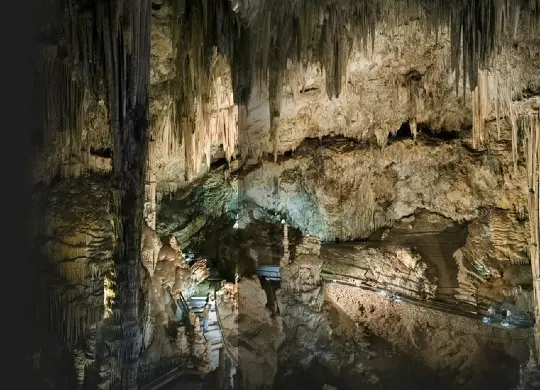 Auf Klassenfahrt mit HEROLÉ: Besuchen Sie die einzigartige Höhlen von Nerja bei Málaga