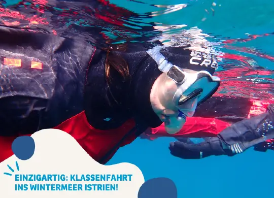 Auf Klassenfahrt mit HEROLÉ: Schnorcheln im Winter