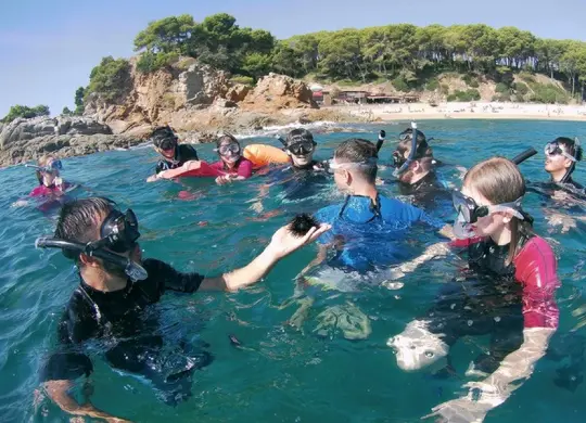 Auf Klassenfahrt mit HEROLÉ: Schüler beim Schnorcheln in Katalonien