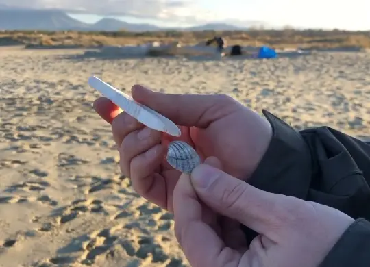 Auf Klassenfahrt mit HEROLÉ: Meeresprojekt in der Toskana