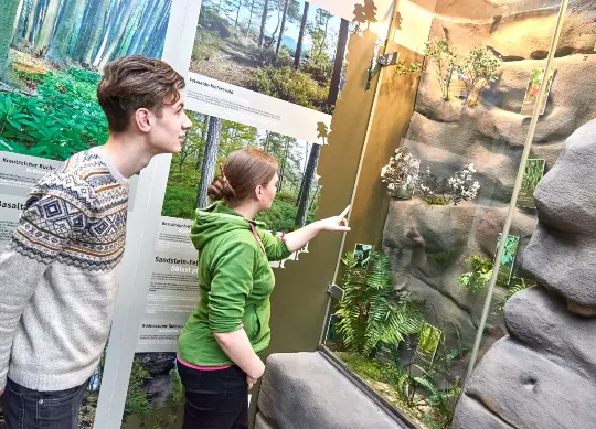Nationalparkzentrum Bad Schandau Sächsische Schweiz Auf Klassenfahrt mit HEROLÉ: Jugendlicher während einer Führung im Nationalparkzentrum Sächsische Schweiz