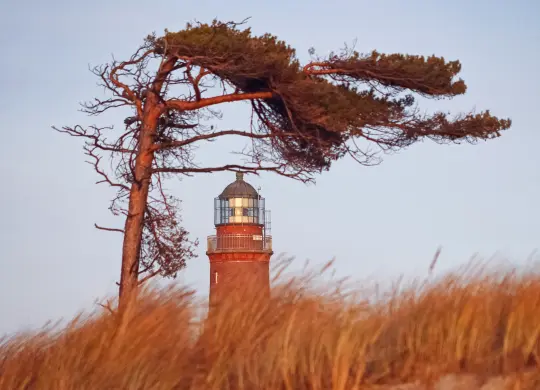 Auf Klassenfahrt mit HEROLÉ: Natureum Darß / Ostsee