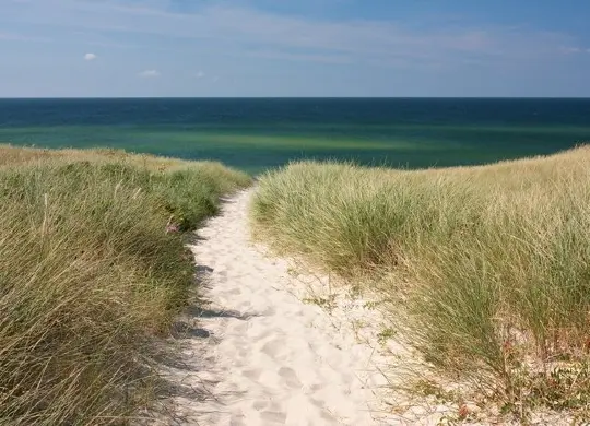 Auf Klassenfahrt mit HEROLÉ: Dünen an der Nordsee.