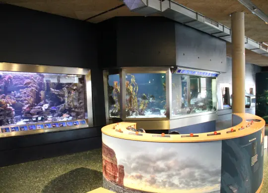 Auf Klassenfahrt mit HEROLÉ: Mulitmar Wattforum an der Nordsee.