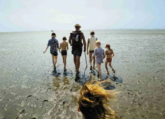 Auf Klassenfahrt mit HEROLÉ: Nutzen Sie die Möglichkeit auch eine Wattwanderung an der Nordsee zu machen 