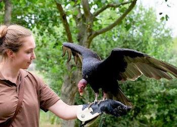 Nordsee - Westküstenpark Auf Klassenfahrt mit HEROLÉ: Nordsee Westküstenpark