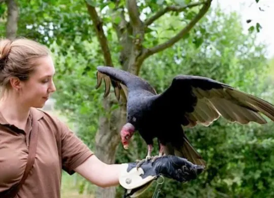 Auf Klassenfahrt mit HEROLÉ: Nordsee Westküstenpark