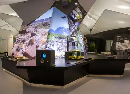 Nürnberg - Bionicum Nürnberg Auf Klassenfahrt mit HEROLÉ: Zu Besuch im Bionicum im Tiergarten in Nürnberg