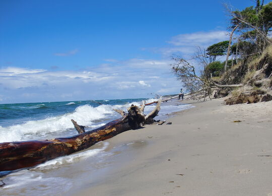 Auf Klassenfahrt mit HEROLÉ: Ostsee