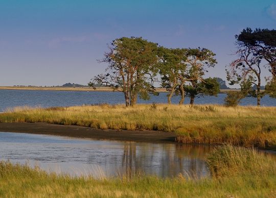 Boddenlanschaft Auf Klassenfahrt mit HEROLÉ: In der Boddenlandschaft