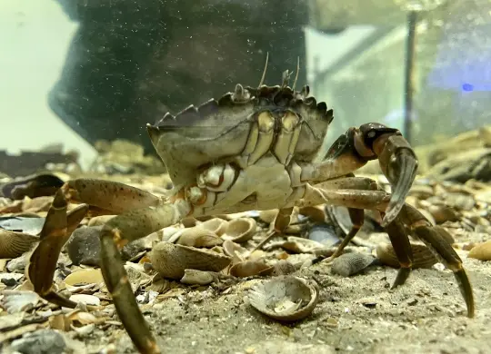 Auf Klassenfahrt mit HEROLÉ: Aquarium in der Ostseestation Priwall in Travemünde