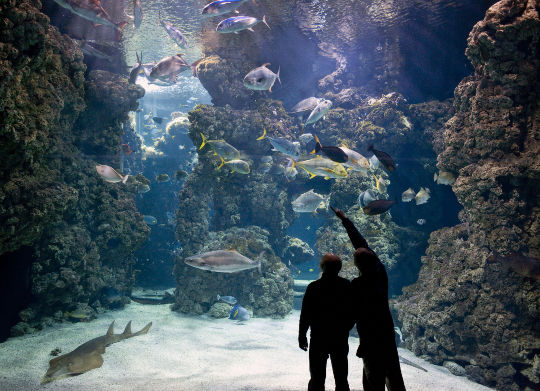 Ozeanografisches Museum Monaco an der Côte d'Azur Auf Klassenfahrt mit HEROLÉ: Ozeanografisches Museum Monaco an der Côte d'Azur.