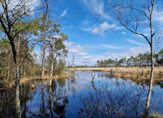 Auf Klassenfahrt mit HEROLÉ: Pietzmoor in der Lüneburger Heide.