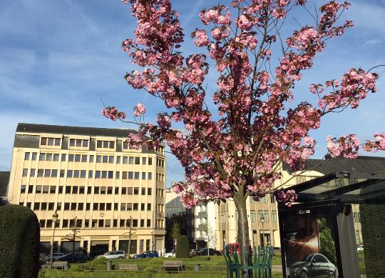 #NAME? Auf Klassenfahrt mit HEROLÉ: Place des Martyrs à la Gare in Luxembourg